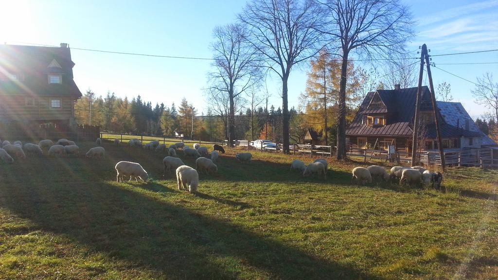 Pompelówka - chata na Głubałówce Zakopane Zewnętrze zdjęcie